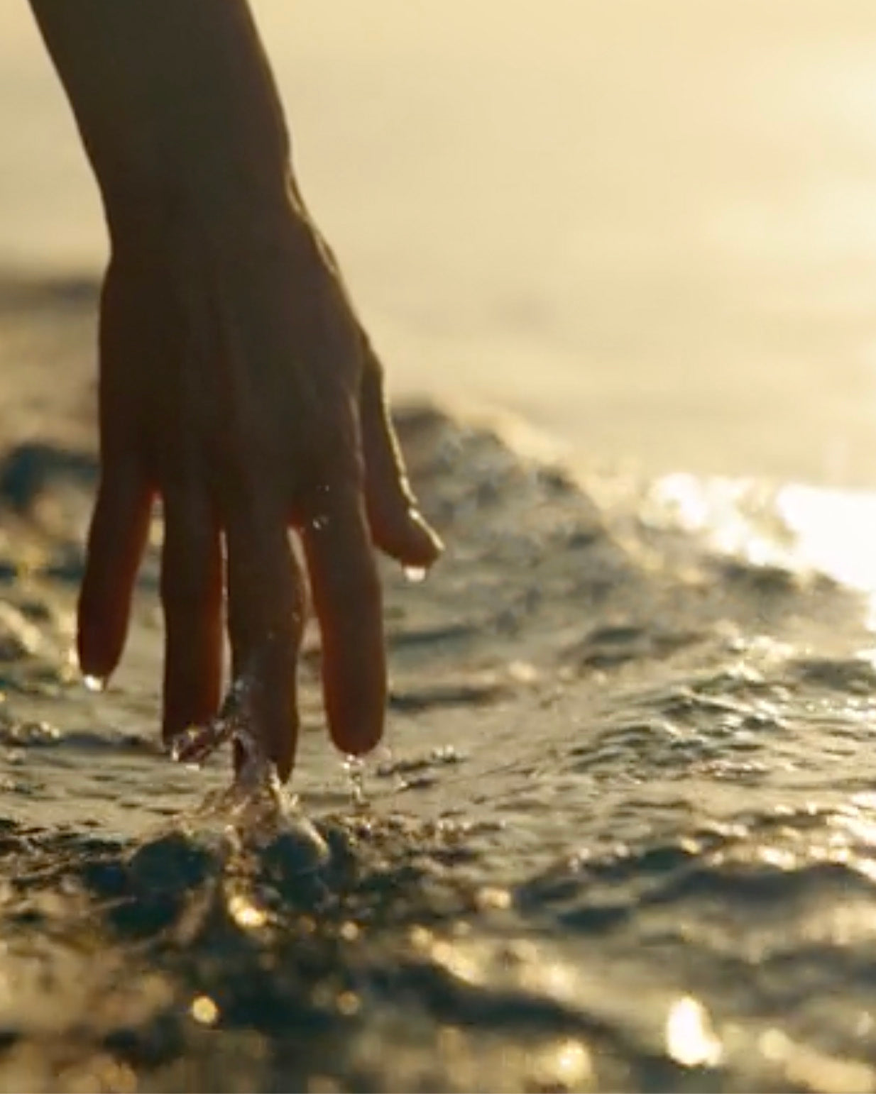 Chakra Meditation: A Guided Journey (AUDIO)